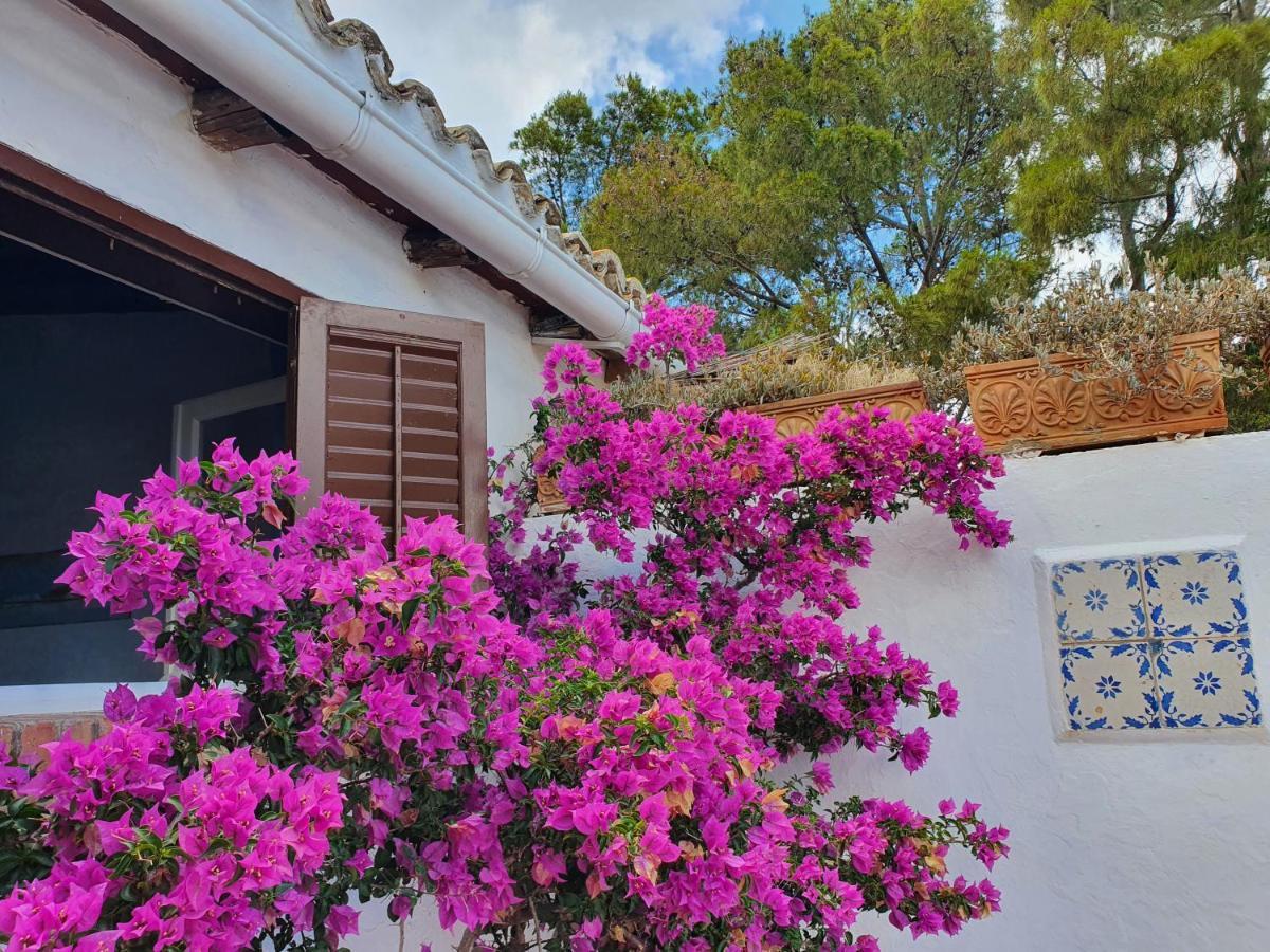 Villa Tonnara San Vito Lo Capo Exterior foto